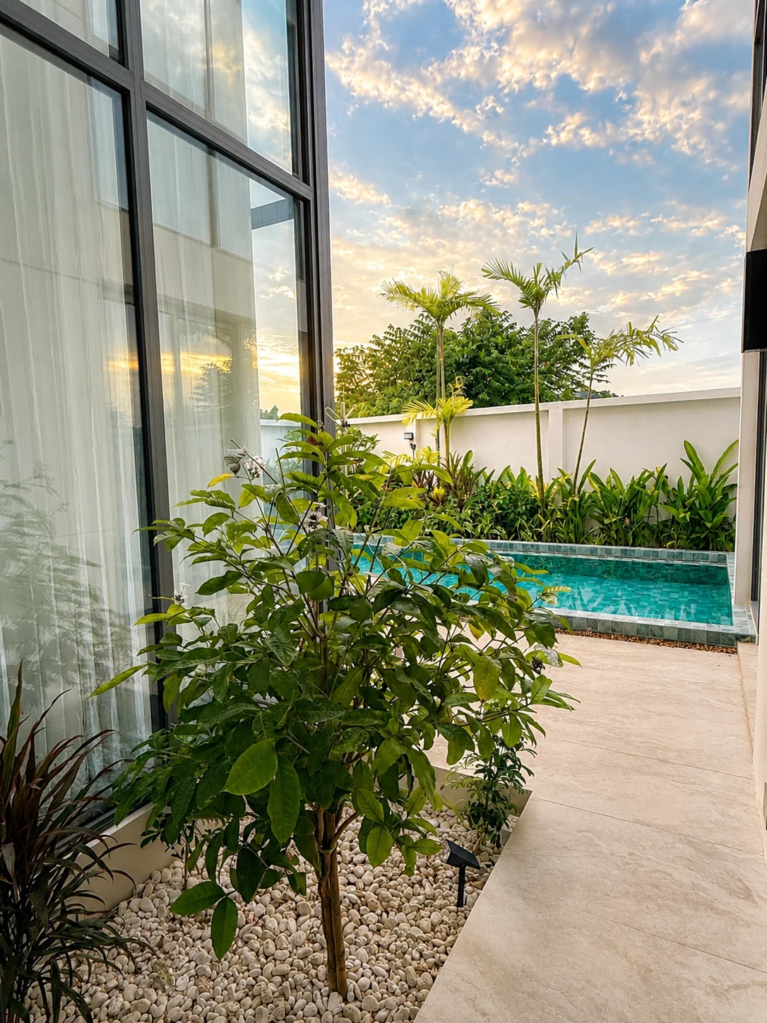 Garden beside the glazing and pool