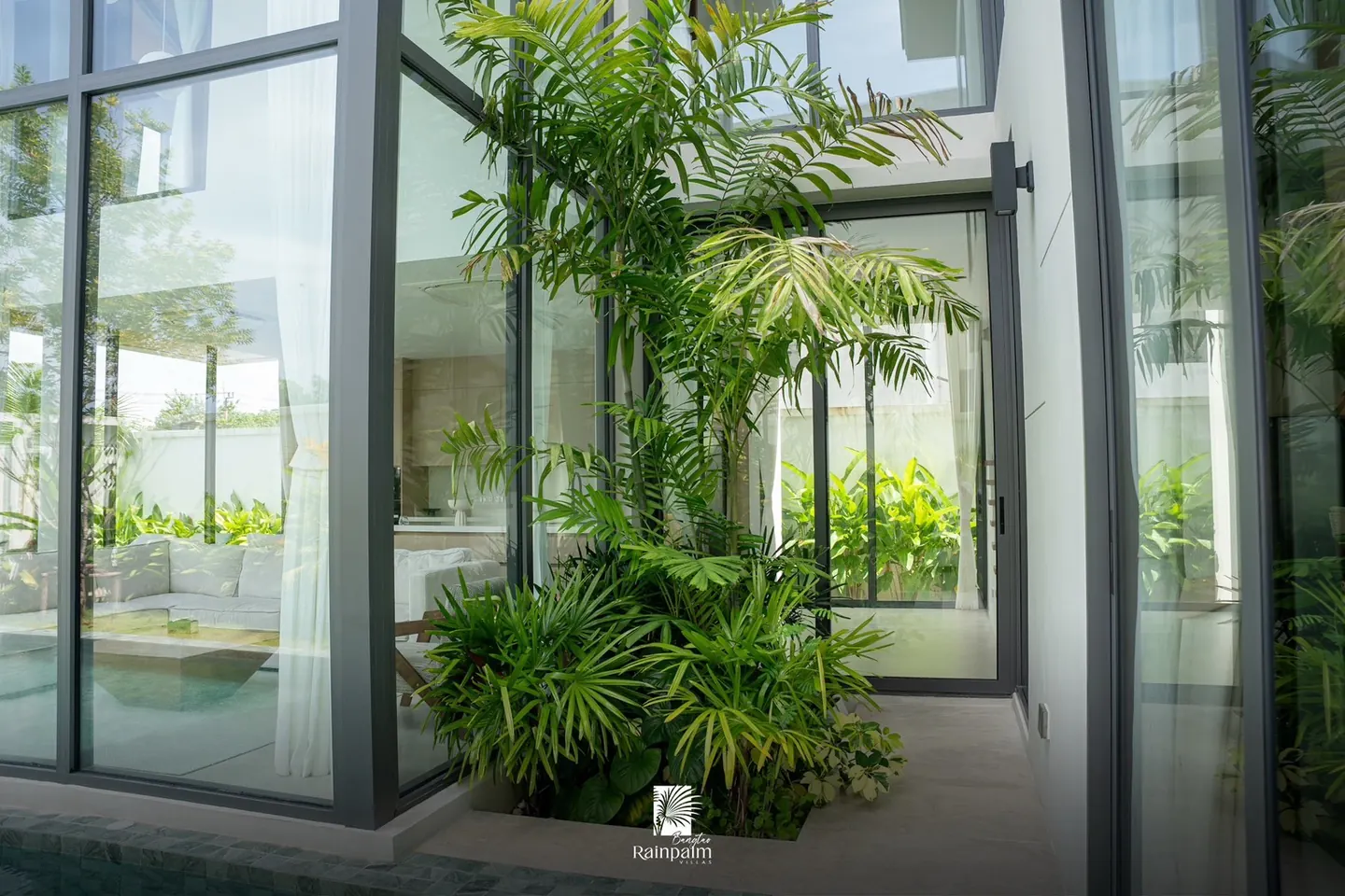 Planted courtyard between glass walls